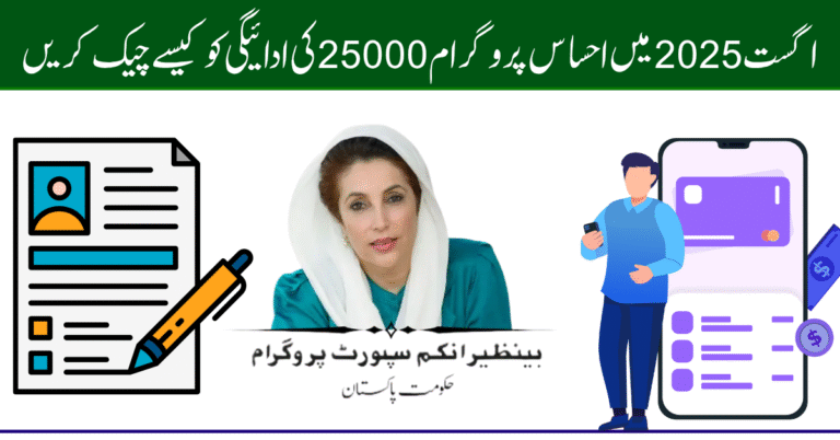 How Do I Check My Ehsaas Program Payment in August 2025